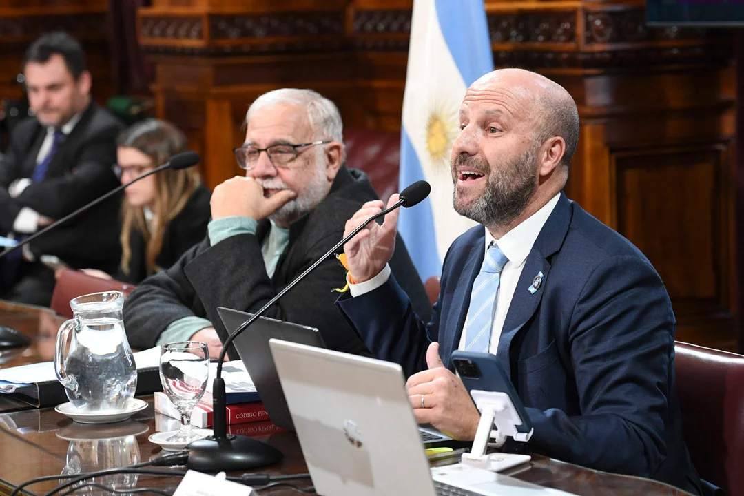 Reunión de la Comisión de Justicia y Asuntos Penales el 10 de Julio del 2024, en el Salón Illía del Senado.