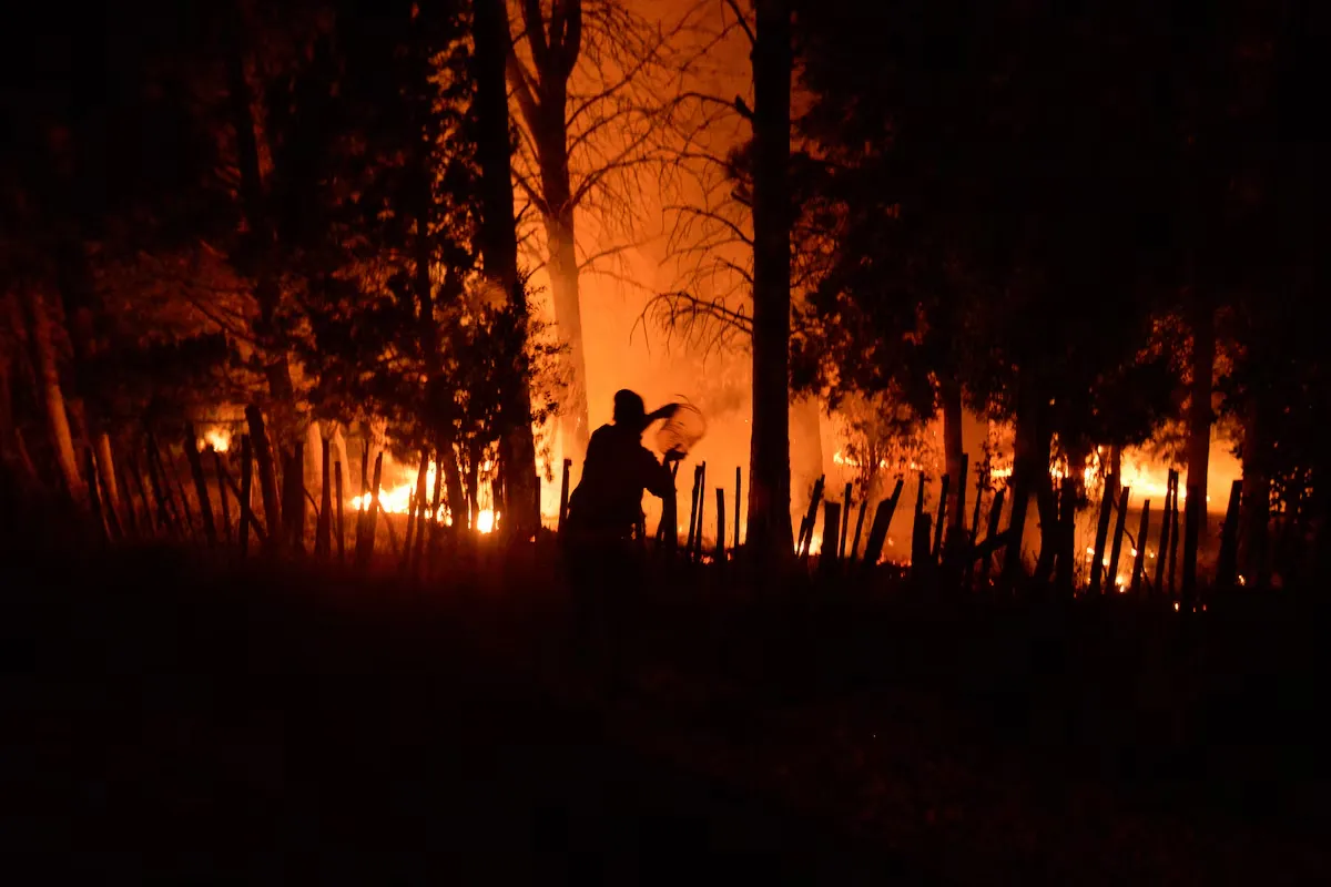 Fuego El Bolsón