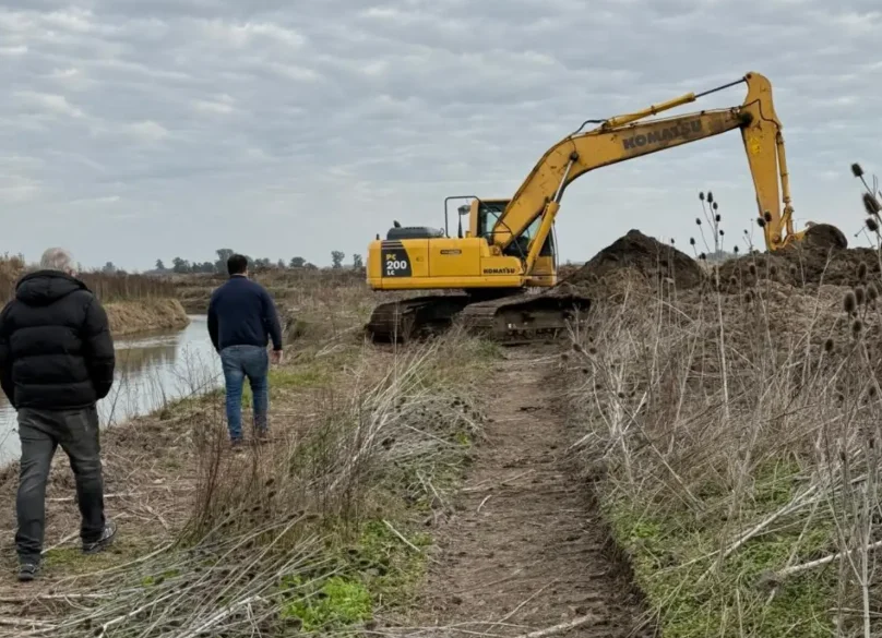 obras en Albert 4