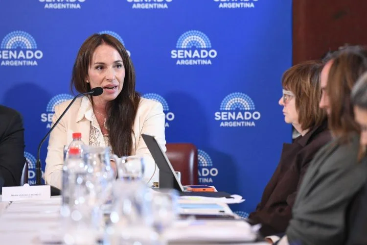 Senado 1