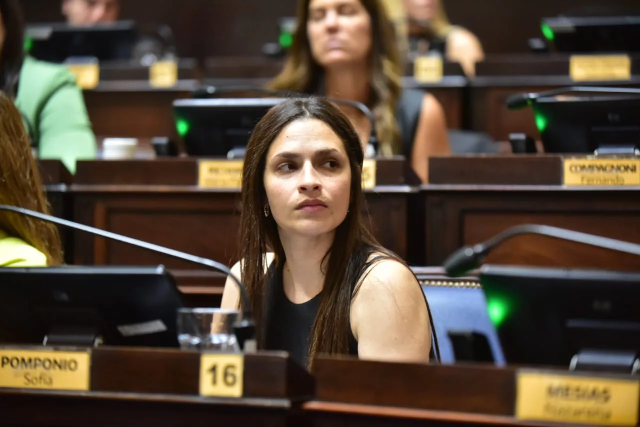 “Es una pelotudez”: fuerte ataque de una diputada libertaria al informe de la CPM
