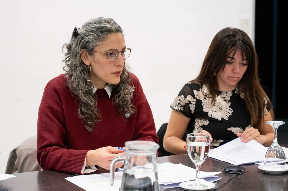 Comisión de Reforma POlítica Diputados