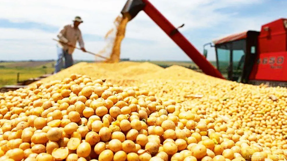 Por la sequía, las exportaciones agroindustriales cayeron 35,8% en 2023.