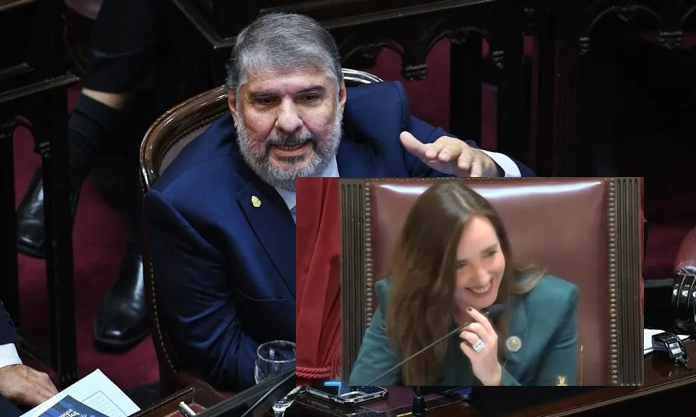 Mayans y Villarruel en el Senado.