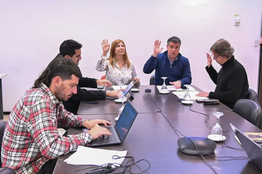 Reunión ordinaria de la comisión de Asuntos Culturales en Diputados.