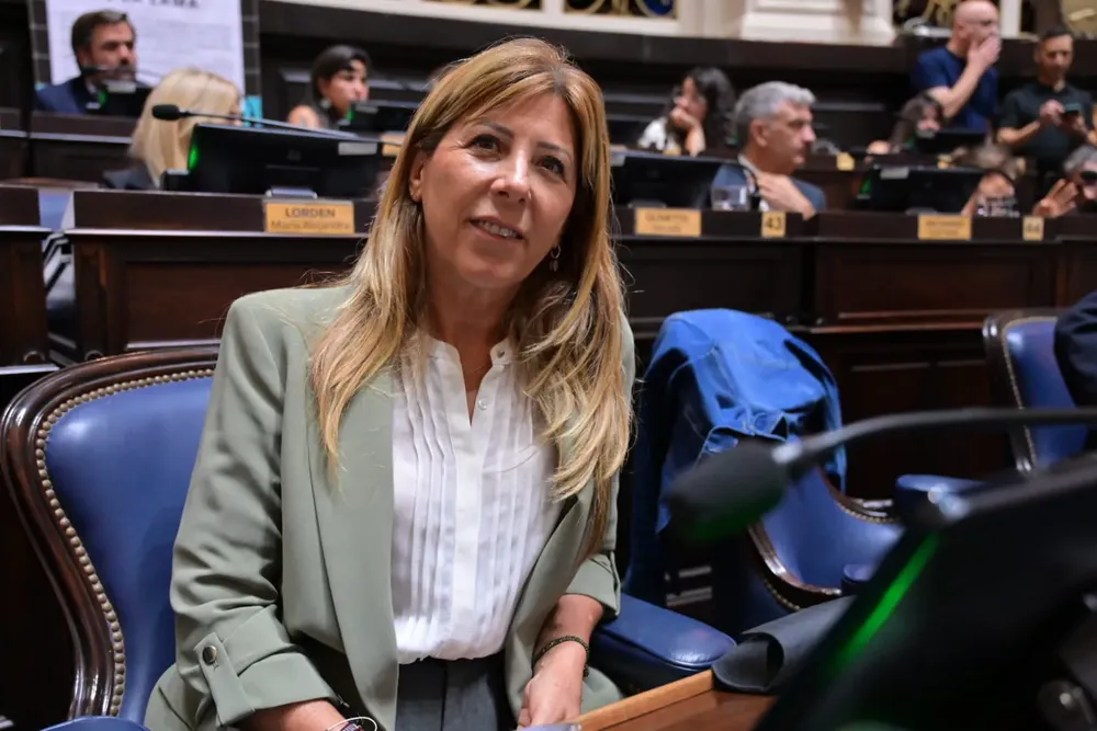 Diputada Silvina Vaccarezza