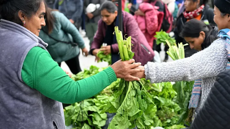 De las quintas a la Legislatura: productores familiares buscan que la Provincia tome nota de la crisis