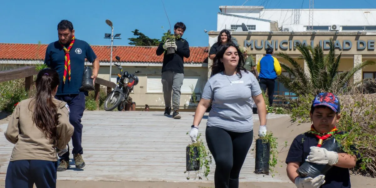 Mar del Tuyú continúan las acciones de forestación en la línea de médanos