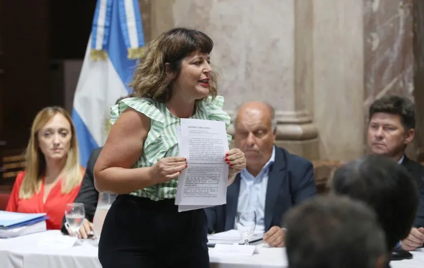 Gaillard estalló en la Bicameral