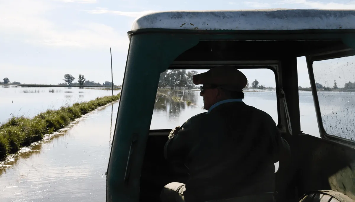 Productores agropecuarios afectados por las inundaciones
