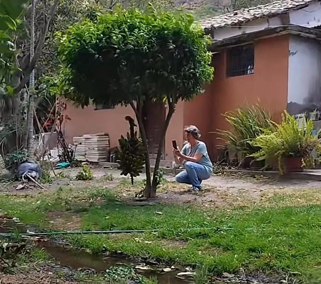 Video viral: ¡No era un árbol de bananas! Pero él no se animó a decirles la verdad