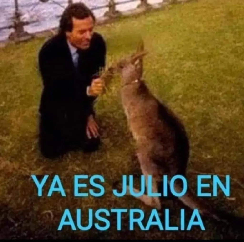 La avalancha de memes de Julio Iglesias inunda las redes sociales