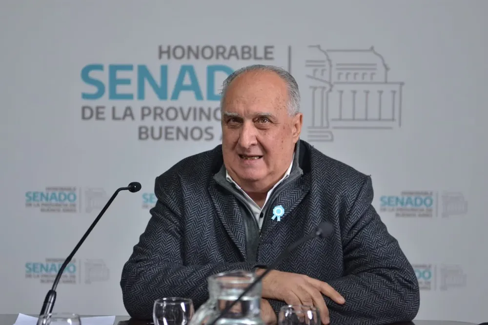 Pedro Borgini