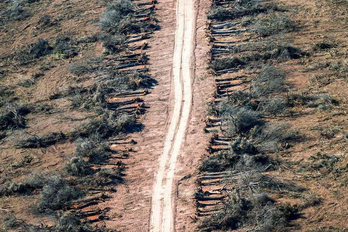 Protección Ambiental de los Bosques Nativos