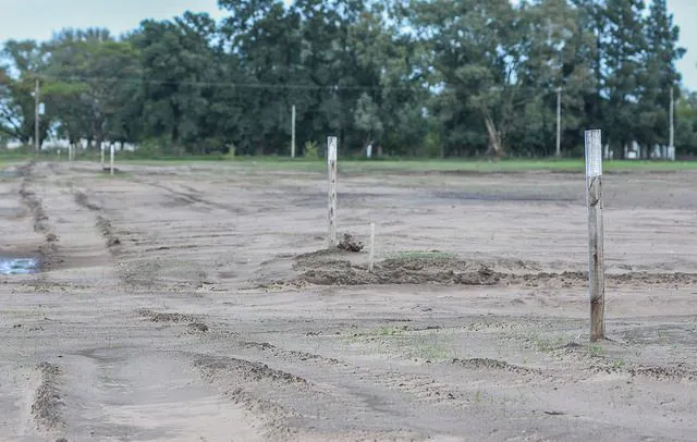 Serenal avanza con ambicioso plan de viviendas