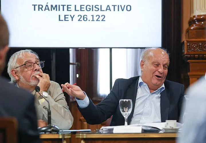 La bicameral vuelve al ruedo