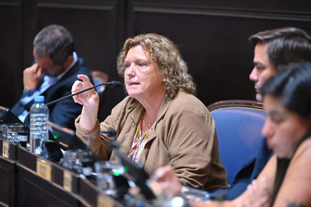 Anahí Bilbao, diputada de la UCR