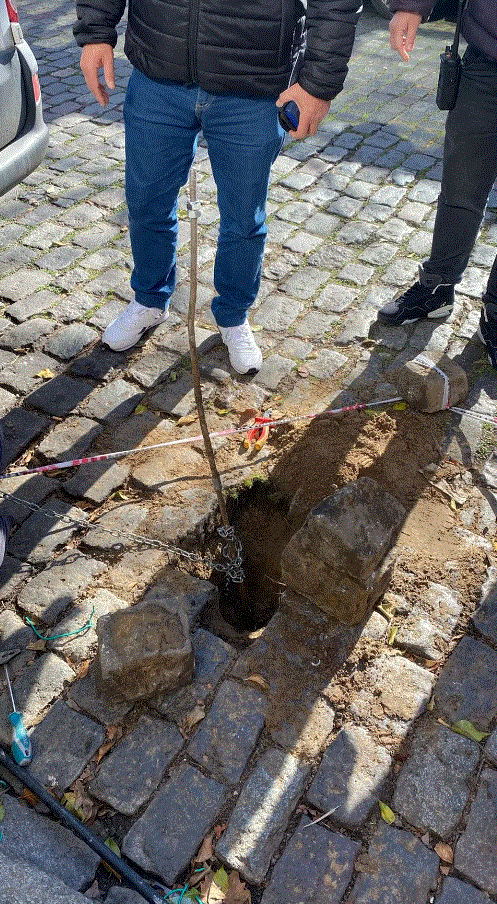 La varilla extraída.