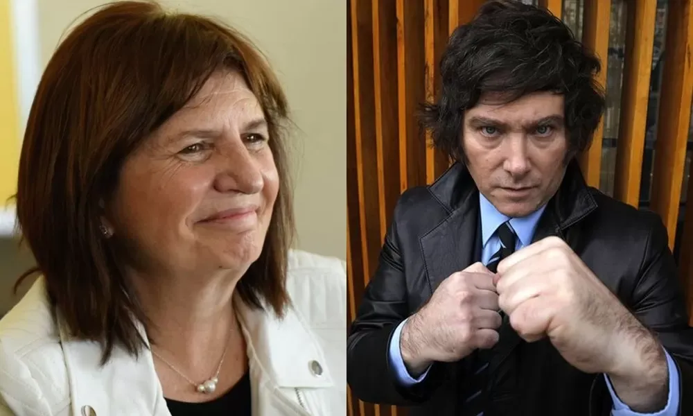 Parlamentario del Mercosur de LLA dijo que Milei “no acepta discusiones” y evaluará a quién votar