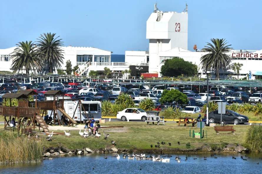 Punta Mogotes