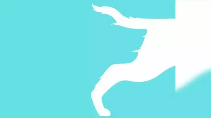 6 ilusiones ópticas que revelan mucho sobre tu personalidad