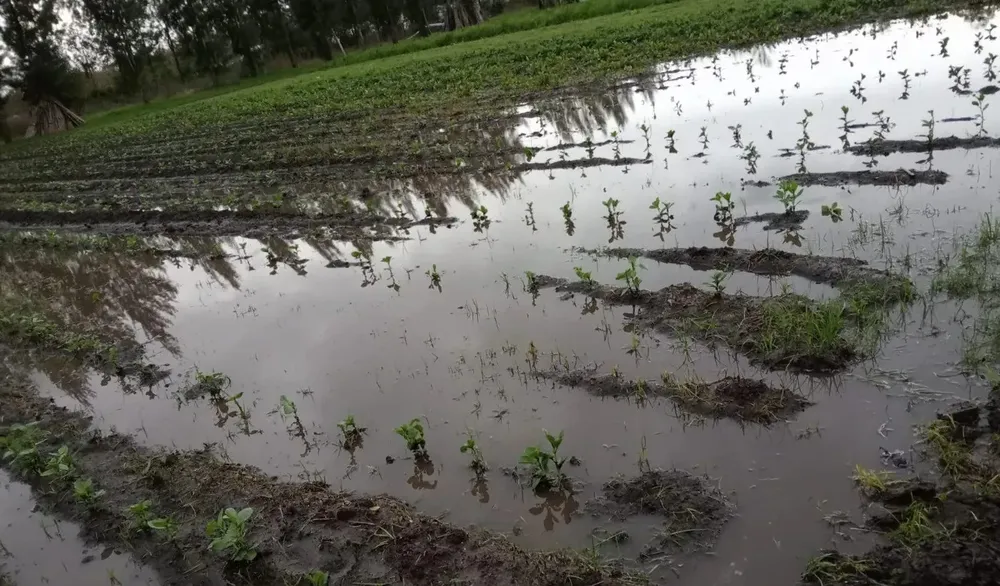 Inundaciones: el campo estalla contra Milei por falta de obras