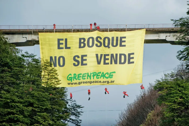 Greenpeace