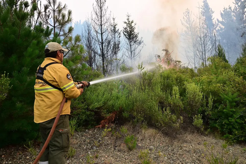 Fuego patagonia