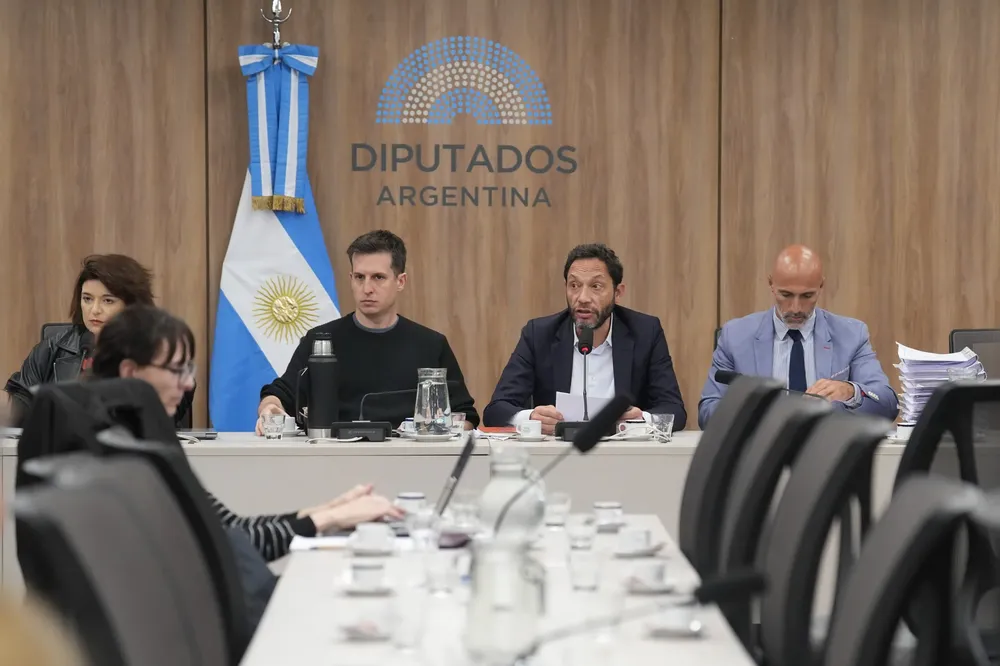 DIPUTADOS LIBRA