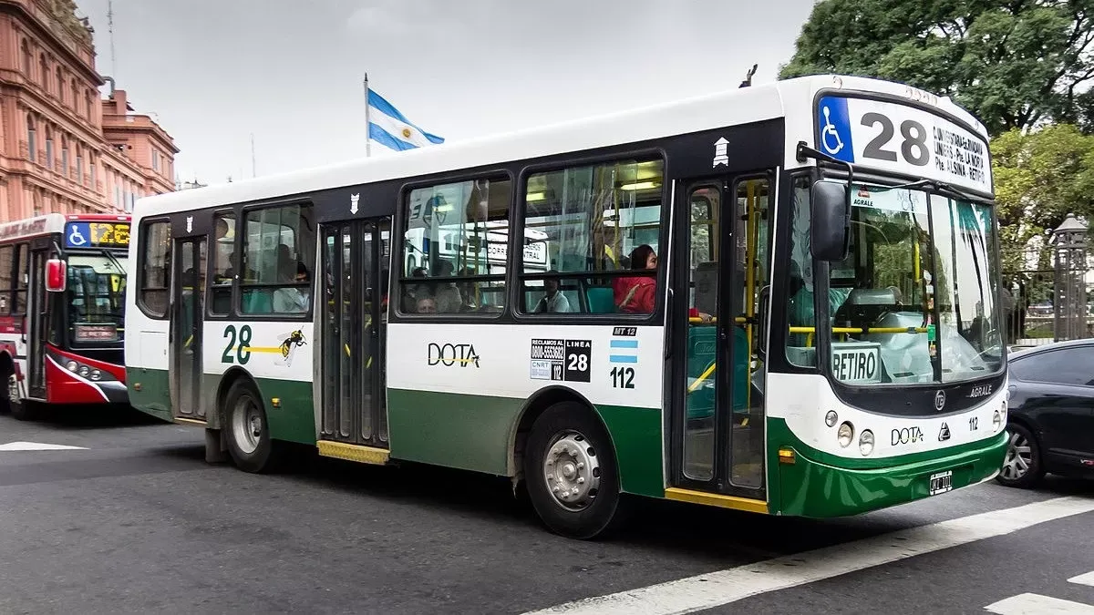 Colectivos del grupo Dota - transporte