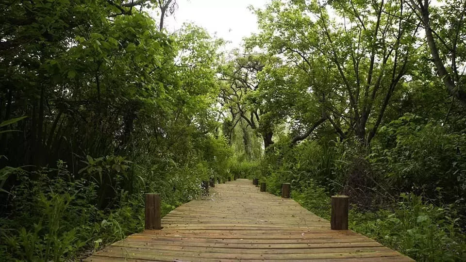 CEAMSE celebra el día de los parques y reservas naturales bonaerenses