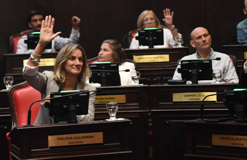Bloque Fuerza Patria en el Senado bonaerense.