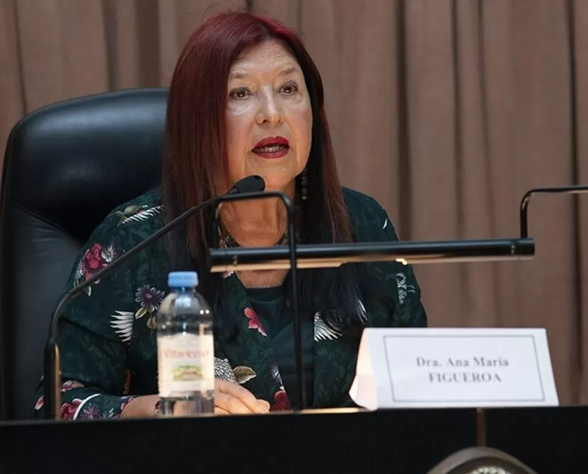 Soria, sobre el pliego de Figueroa: “El único conflicto es entre la Corte y la Constitución”