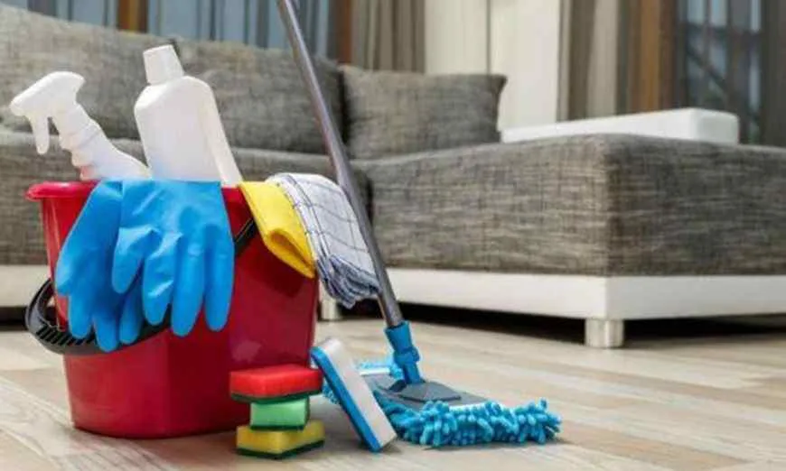 La Comision de Trabajo en Casas Particulares se reunira para analizar la evolucion salarial