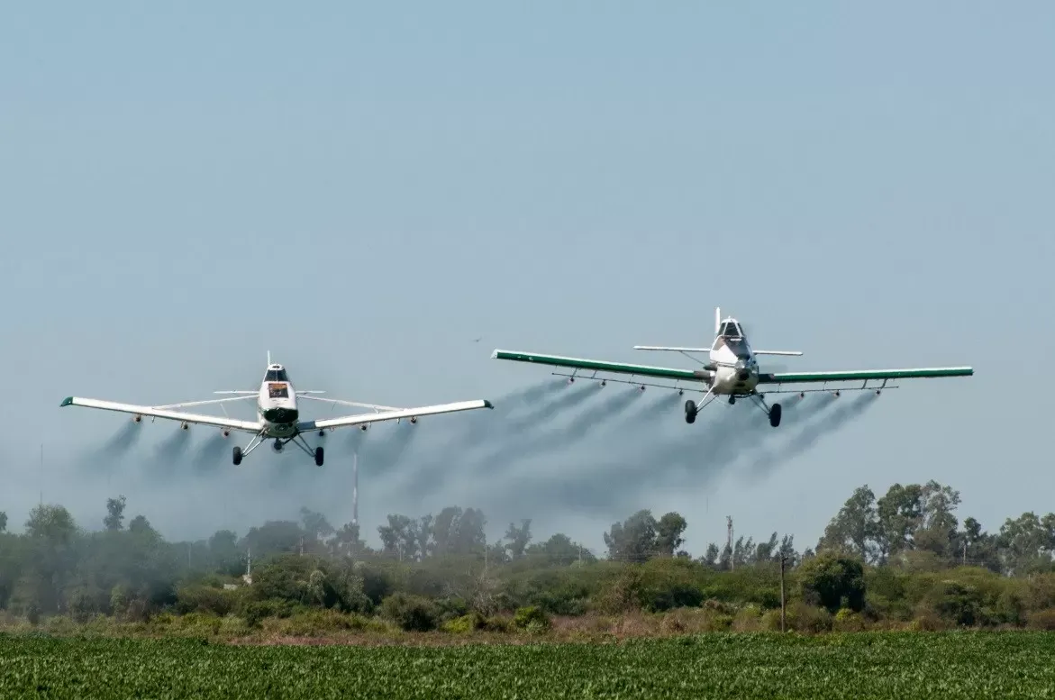 Argentina consume la mayor cantidad de agrotoxicos por habitante, advirtio un ambientalista