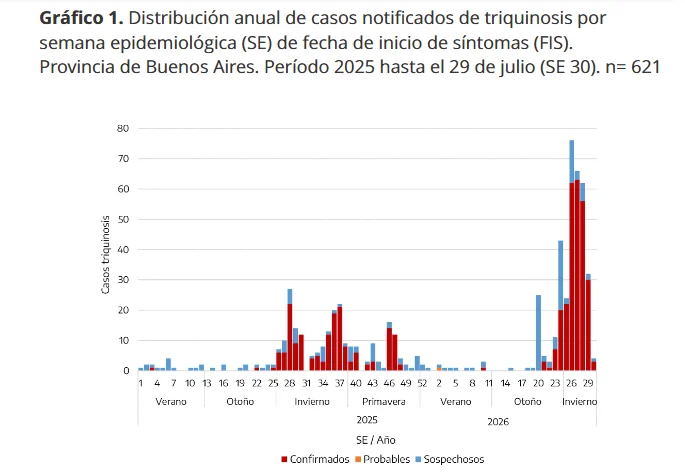 Datos del Boletín Epidemiológico (Semana 29).