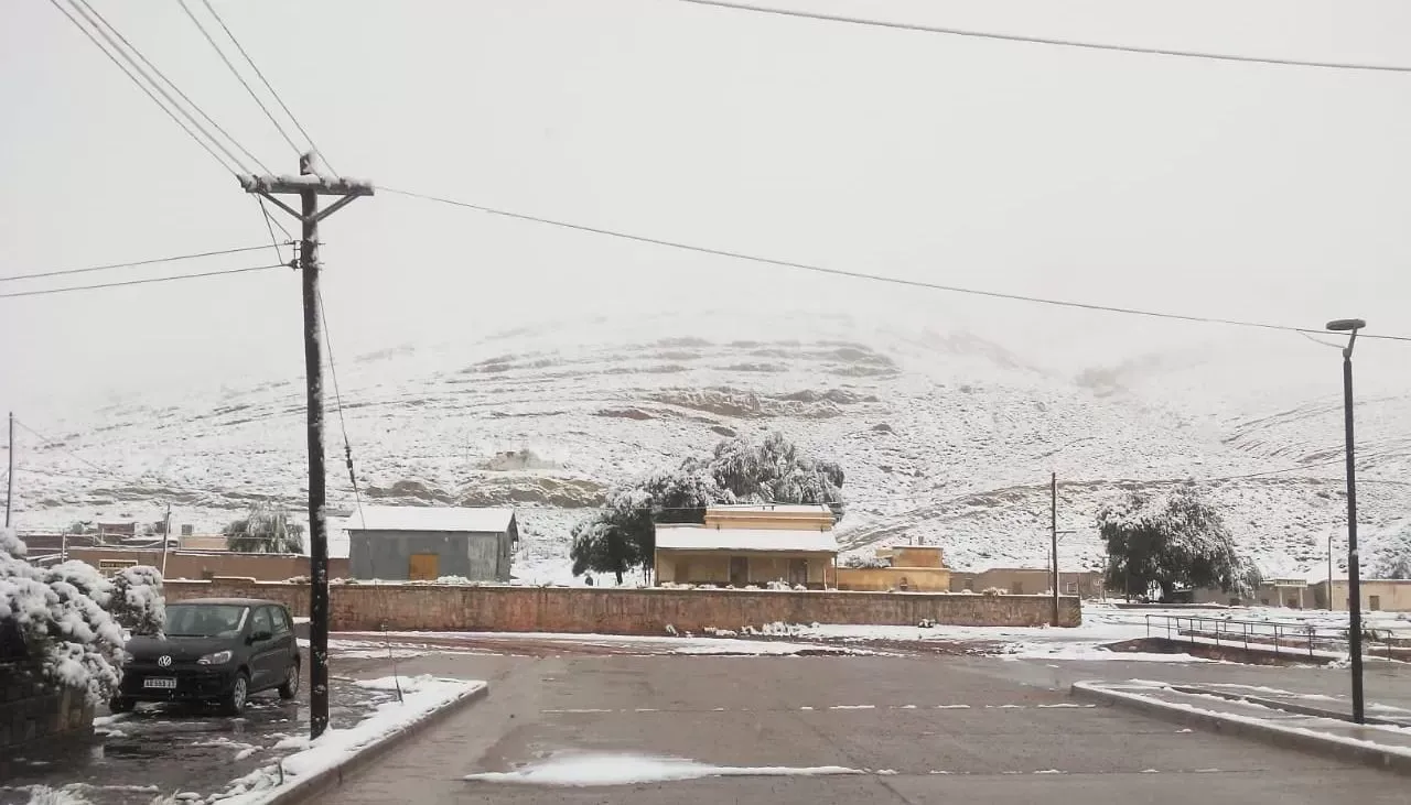 Inesperada nevada en verano vistió a la puna jujeña de blanco