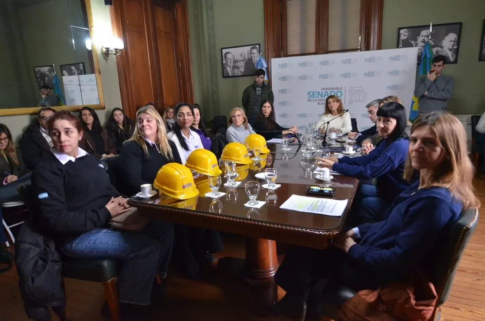 Comisión de Igualdad Real de Trato y Oportunidades y de Discapacidad del Senado.