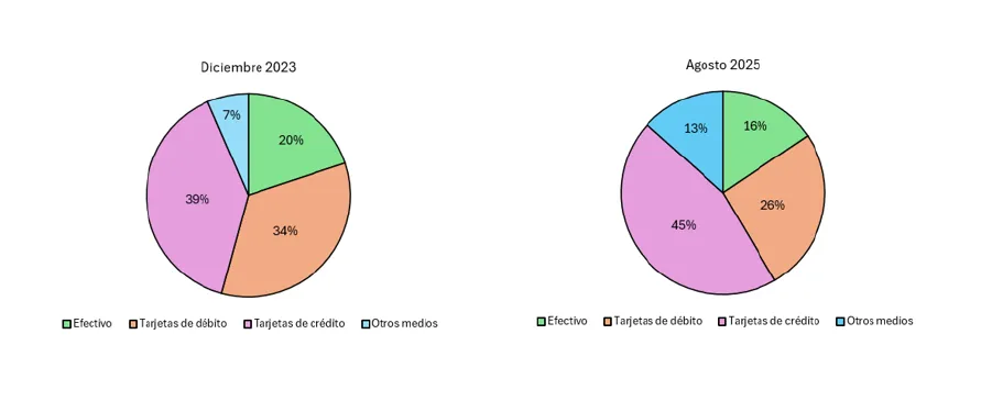 El consumo se desploma y las familias usan la tarjeta de crédito para comer 2 Consumo Argentino UBA Informe 2
