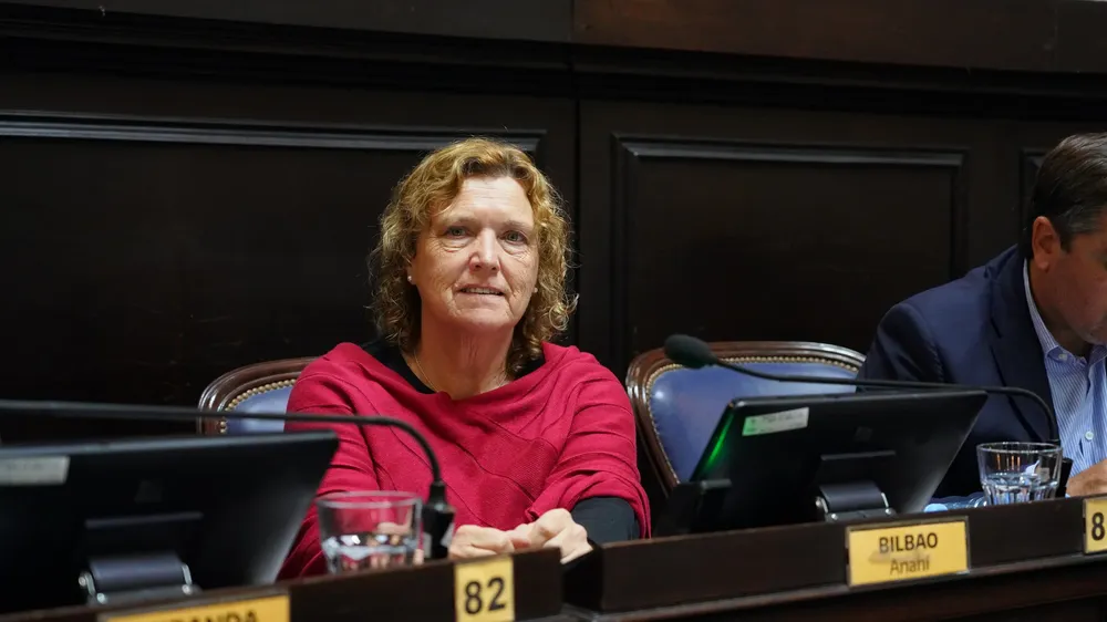 Anahí Bilbao, diputada de la UCR