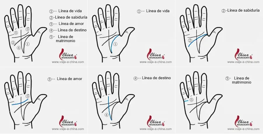Aprendé a leer tus manos: ¿Qué significan las 5 líneas principales según la quiromancia?